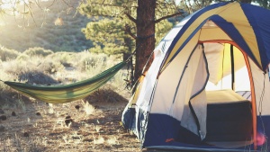 a tent and hammock outdoors in the sunshine