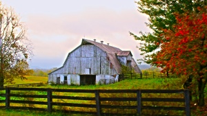 a barn and fence on farmland