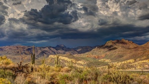 Photo of low clouds and their shadow over the Arizona desert.