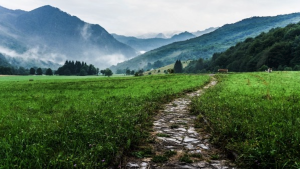 Réflexion sur le chemin de la Pentecôte