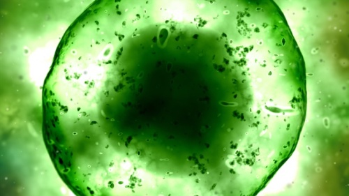 La creación de acuerdo a un plan