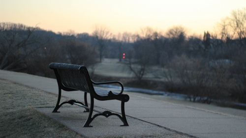 Empty park bench