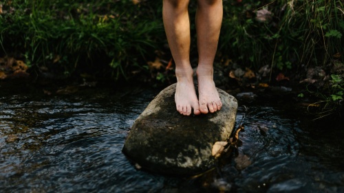 Two legs standing on a rock surrounded by water