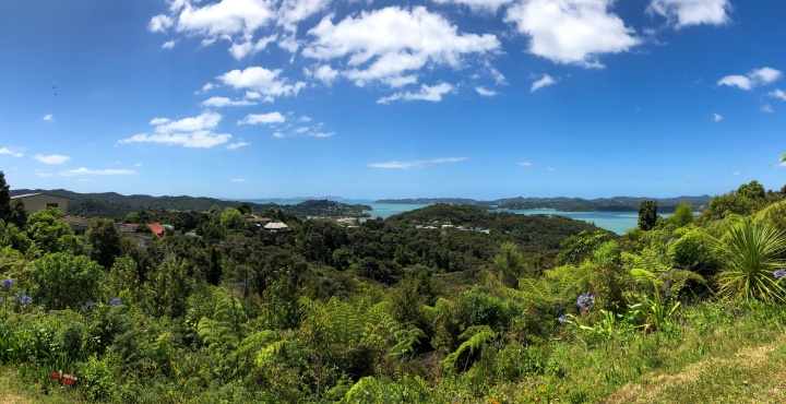 Bay of Islands, Paihia, New Zealand