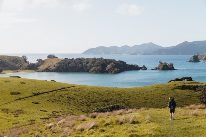 Bay of Islands, Paihia, New Zealand