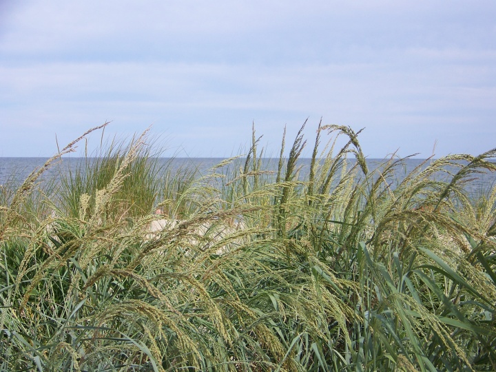 Ocean City, Maryland