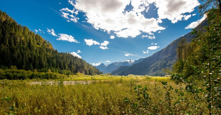 green trees and mountains under blue sky during daytime