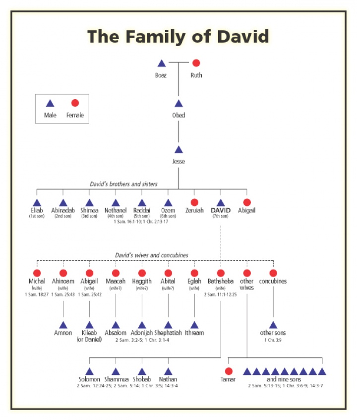 Family of David Chart