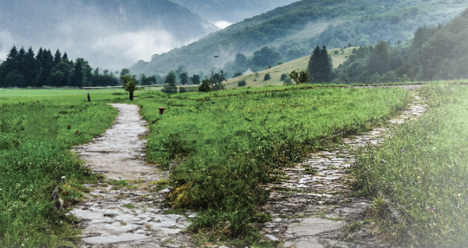 Pauta de ayuda para tomar buenas decisiones