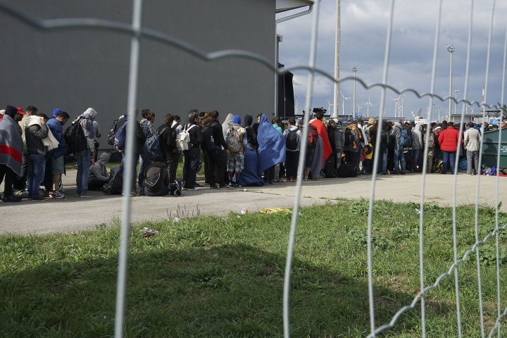 A line of Syrian refugees crossing the border of Hungary and Austria on their way to Germany.