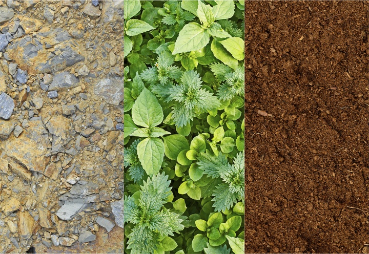 Different soil types.