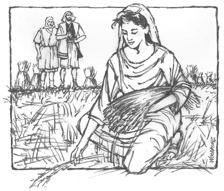 Illustration of Ruth picking grain.