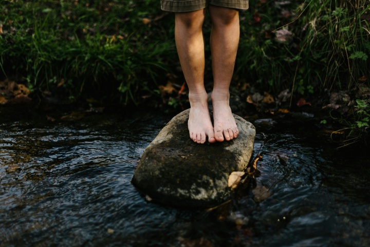 Two legs standing on a rock surrounded by water