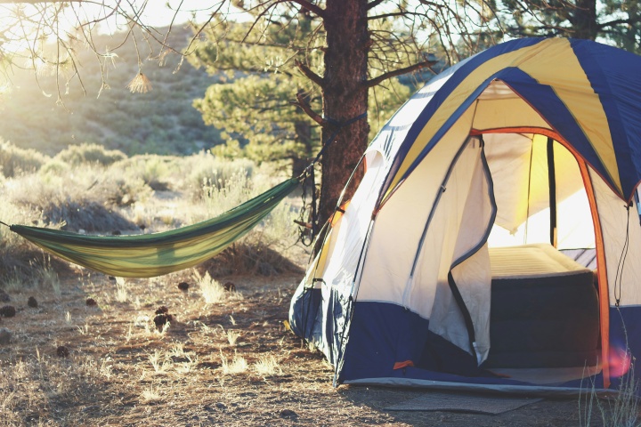 a tent and hammock outdoors in the sunshine