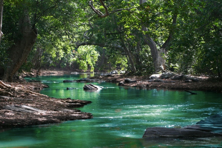 a body of water shaded by trees