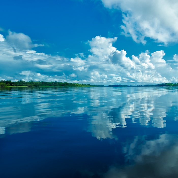 Demerara River 